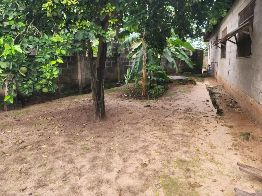 Nyumba na kiwanja